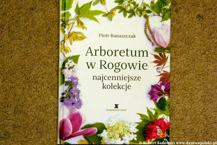 Arboretum w Rogowie najcenniejsze kolekcje Arboretum w Rogowie najcenniejsze kolekcje